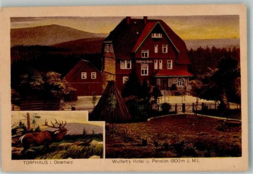 Torfhaus Wulfert`s Hotel u. Pension