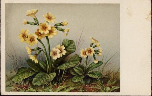1943 Gelbe Blumen. Nr. 17036.,ZDB