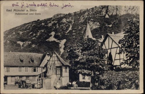 1919 Bad Münster a. Stein, -Hahnenhof und Gans-,A. Geis