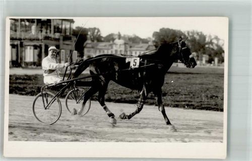 Wien 1950 - 1955 Traber