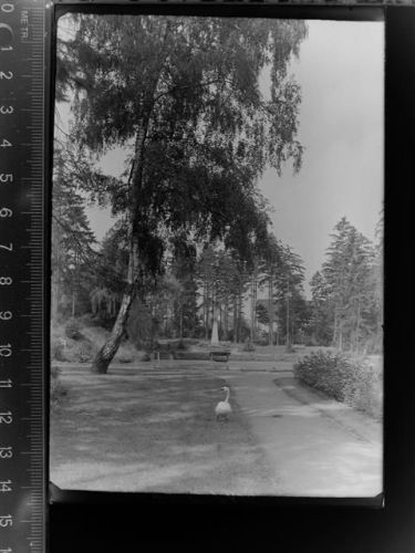 Moringen Stadtpark