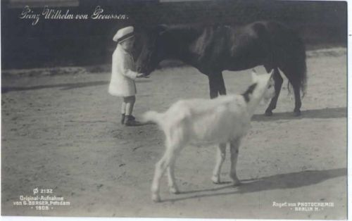 um 1905/10 Prinz Wilhelm, Pferd, Ziege