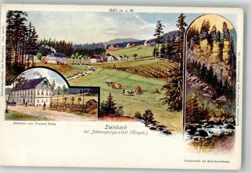 Steinbach Gasthaus v. Therese Rödig Teufelstein i. Steinbachtal Kühe