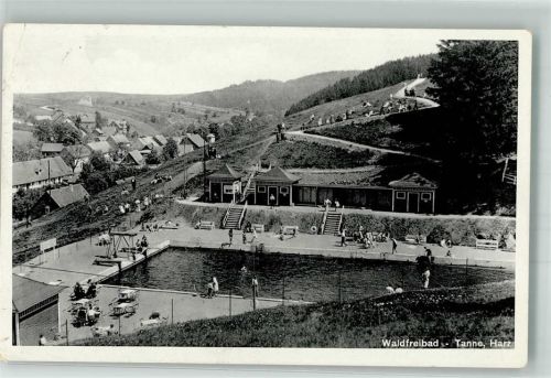 Tanne Waldfreibad