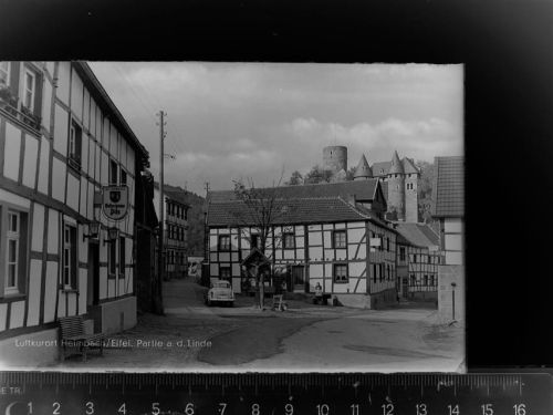 52396 W5169 Heimbach , Eifel GLASNEGATIV Partie an d. Linde