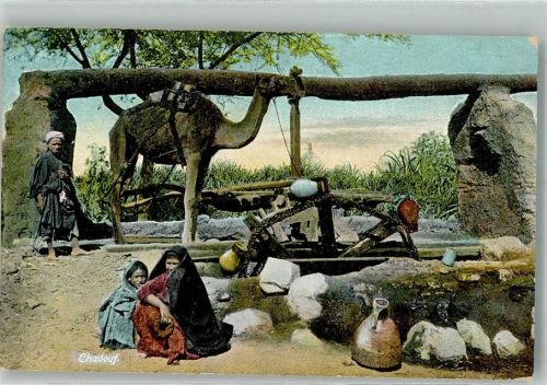 Port Said Tracht Wasserad Brunnen Kamel Ort lt. Verlag