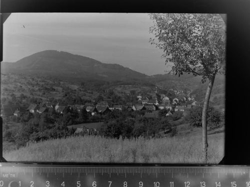 Selbach