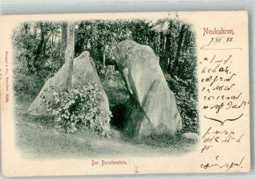 Neukuhren 1908 Borstenstein