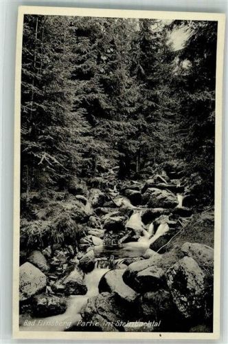 Bad Flinsberg 1936 Steinbachtal