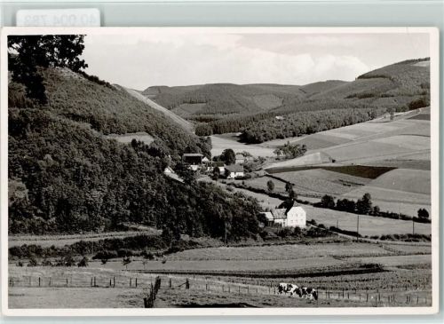 59846 W5768 Langscheid , Sorpesee FOTO KEINE AK