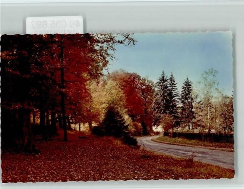 Göhrde Herbststimmung