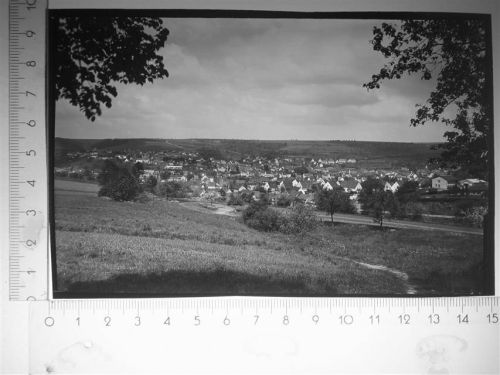 Thaleischweiler-Fröschen