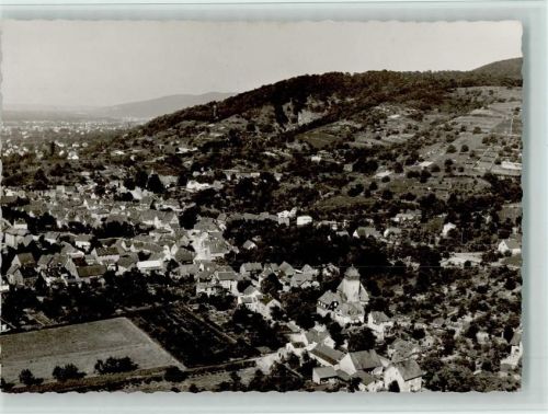 Zwingenberg Luftaufnahme
