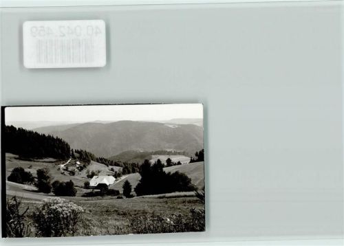 Schonach Fernblick