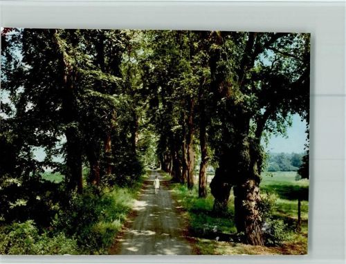 34454 W3548 Arolsen FOTO KEINE AK Frau spaziert in der Baumallee