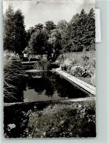 Bad Bevensen Seerosenteich