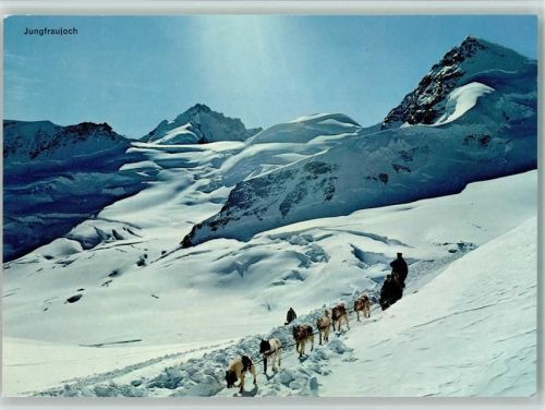 Grindelwald Polarschlittenhunderennen