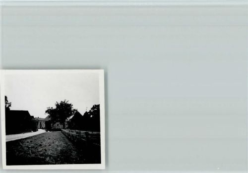 Vornholz Foto