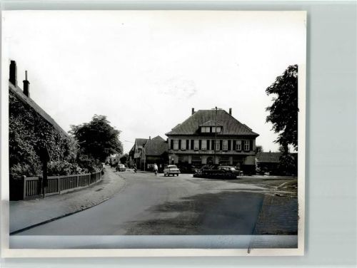 Apen Eilert Foto TK80