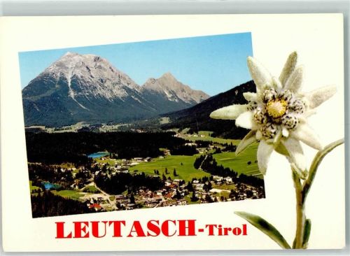 Leutasch Weidach mit Forellensee gegen Hohe Munde Edelweiss AKU2