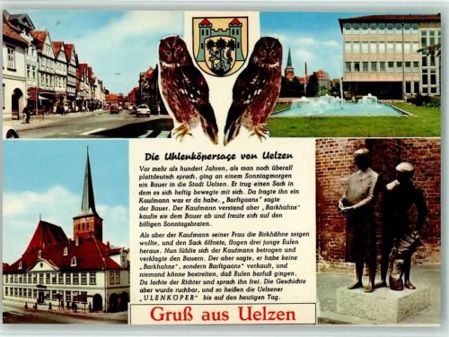 W3110 Uelzen , Lüneburger Heide Eulen Eule