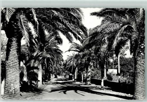 Sanary-sur-Mer Avenue de Port Issol