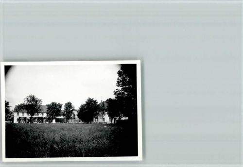 Schapen Foto 6x8cm