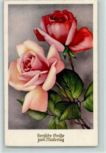 Rote und Rosa Rose Muttertag