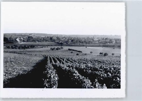 Friesenheim Foto