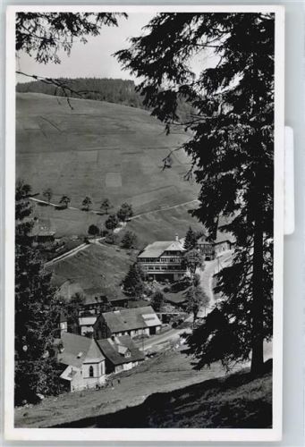 Muggenbrunn