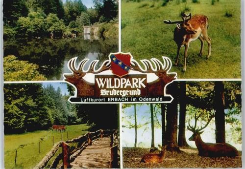 Erbach Wildpark Brudergrund