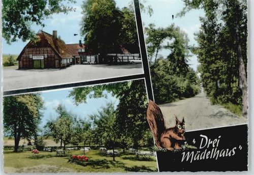 Heiligenrode Gasthaus Drei Mädelhaus Auto Baum Wiese