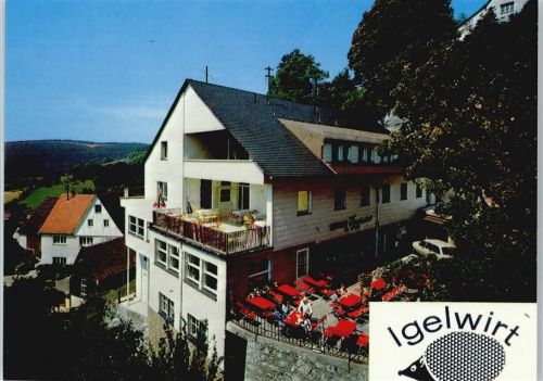 Schnaittach Gasthof Pension Igelwirt