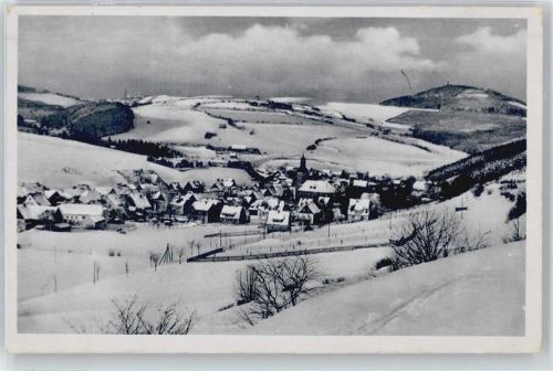 Geising Schnee Baum Panorama
