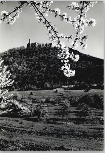 Teck Burg Feld Baum Berg