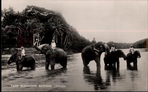 Ceylon Indien