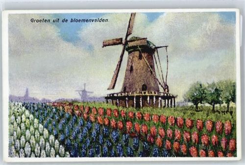 Blumenfelder, Windmühle