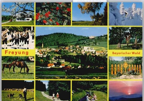 Freyung Panorama Musik Blumen Schnee
