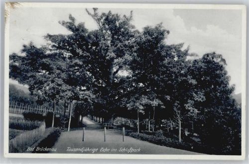 Bad Brückenau Park Eiche