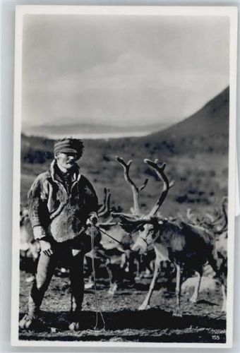 Lappländer mit Renntieren AKU1
