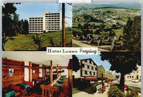 Freyung Hotel Lusen Panorama Auto