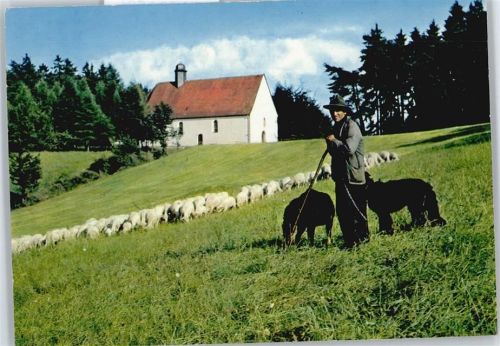 Frammersbach Kapelle Schaf