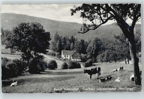 Waltersdorf Gasthaus Sommerfrische Neu-Sorge