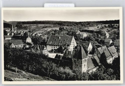 Maulbronn Kloster Panorama