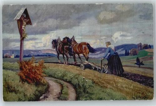 Pferdepflug , sign. W.Bürger