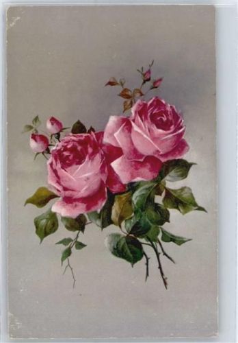 rote Rosen