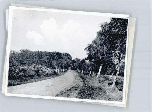Zeven Foto mit Negativ
