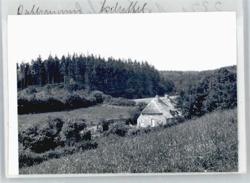 Ascheffel Foto mit Negativ