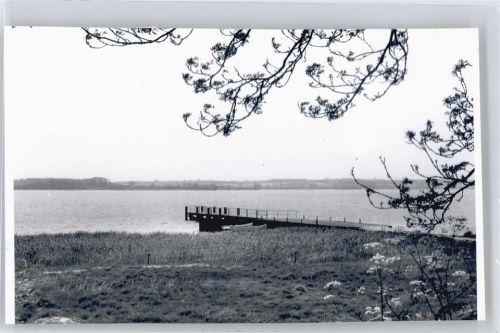 Ulsnis Foto mit Negativ