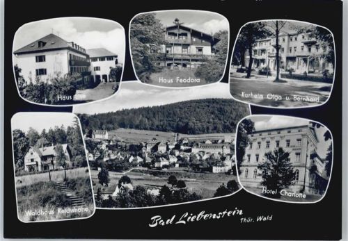 Bad Liebenstein Hotel Charlotte, Kurheim Olga und Bernhard, Haus Feodora, Haus Else, Waldhaus Reichshöhe